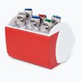 Frigorifero portatile Igloo Playmate Pal 6 l red star 11