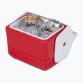 Frigorifero da viaggio Igloo Playmate Mini 3 l red star 7
