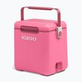 Frigorifero portatile Igloo Tag Along Too Highrise 18 l pink 2