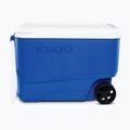 Frigorifero portatile Igloo 38 QT Wheelie Cool Hard Sided 36 l majestic blue 2