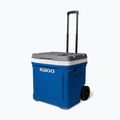 Frigorifero portatile Igloo Latitude 60 Qt 56 l indigo blue 2