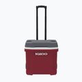 Igloo Latitude 30 Qt Roller 28 l frigorifero industrial rosso/ meteorite touring