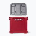 Igloo Latitude 60 Roller 56 l industrial rosso/ meteorite frigorifero da viaggio 11