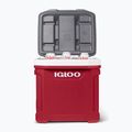 Igloo Latitude 60 Roller 56 l industrial rosso/ meteorite frigorifero da viaggio 14
