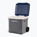 Igloo Maxcold Latitude 62 Qt Roller 59 l carbonite/frigorifero da viaggio Mar Egeo 13
