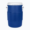 Igloo 5 Gallon Seat Top Con Dispenser per tazze 18,9 l blu maestoso 4