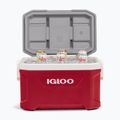Frigorifero portatile Igloo Latitude 52 49 l industrial red 12