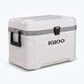 Frigorifero da turismo Igloo Latitude Marine Ultra 54 51 l bianco/grigio lunare 2