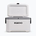 Frigorifero da turismo Igloo Latitude Marine Ultra 54 51 l bianco/grigio lunare 4