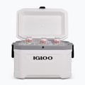 Frigorifero da turismo Igloo Latitude Marine Ultra 54 51 l bianco/grigio lunare 10