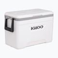 Frigorifero da viaggio Igloo Marine 25 Qt 23 l bianco/grigio luna 2