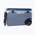 Igloo Maxcold Latitude 90 Qt Roller 85 l frigorifero da viaggio in carbonite/mare Egeo 3