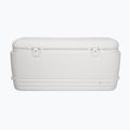 Igloo Polar 120 Qt 113 l frigorifero da viaggio bianco