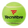 Palline da tennis Tecnifibre X-One 4 pz.