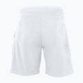 Pantaloncini da tennis da uomo Tecnifibre 23STRE Stretch bianco 2