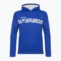 Felpa da tennis da uomo Tecnifibre 21FLHO Fleece Hoodie royal