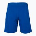 Pantaloncini da tennis Tecnifibre da bambino 23STRE Stretch royal 2