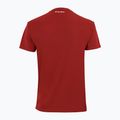 Maglietta da tennis uomo Tecnifibre Team Tech Tee cardinal 3