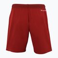 Pantaloncini da tennis da uomo Tecnifibre Team cardinal 3