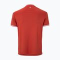 Maglietta da tennis da uomo Tecnifibre Team Tech terracotta 5