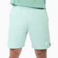 Pantaloncini da tennis da uomo Tecnifibre Team Stretch Short sage 2
