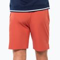 Pantaloncini da tennis da uomo Tecnifibre Team Stretch Short terracotta 2
