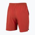 Pantaloncini da tennis da uomo Tecnifibre Team Stretch Short terracotta 5