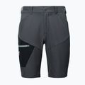 Pantaloncini uomo Millet Wanaka Stretch III tarmac 6