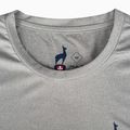 T-shirt da uomo Aulp Tommy grey/melange 5