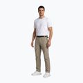 Pantaloni da trekking da uomo Aulp Brady light khaki 2