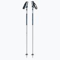 Bastoncini da sci Dynastar Vector 4 grigio/blu