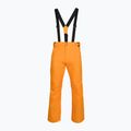 Pantaloni da sci Rossignol da uomo Ski sunburst 8