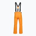 Pantaloni da sci Rossignol da uomo Ski sunburst 9