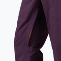 Pantaloni da sci Rossignol Evader da uomo color gelso 5