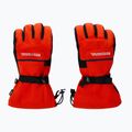 Guanti da sci da uomo Rossignol Action R-Shell Dry golden gate