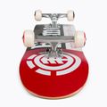 Skateboard classico Sezione elementi 5