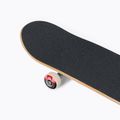 Skateboard classico Sezione elementi 6