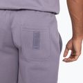 Pantaloncini da uomo Venum Silent Power Cotton lavanda grigio 5