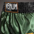 Pantaloncini da allenamento uomo Venum Classic Muay Thai green/gold/black 4
