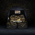 Pantaloncini da allenamento Venum Attack Muay Thai nero/oro 6