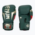 Guantoni da boxe Venum Elite verdi