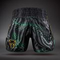 Pantaloncini da allenamento da uomo Venum Matupa Muay Thai black/green/gold 2