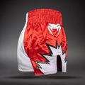 Pantaloncini da allenamento Venum Inferno 2.0 Muay Thai red/white 4