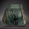 Pantaloncini da allenamento Venum Stealth Muay Thai Khaki/Dark Green 2