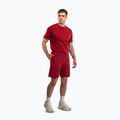 Pantaloncini da allenamento uomo Venum Giant 3D Cotton red 2
