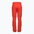 Pantaloni da snowboard Quiksilver Boundry in purea di zucca per uomo 2