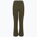 Pantaloni da snowboard da uomo DC Nonchalant oliva notte 3