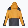 Giacca da snowboard DC Anchor cathay spice uomo 9