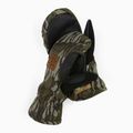 Guanti da snowboard DC Tribute mossy oak original bottomland da uomo