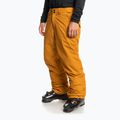 Pantaloni da snowboard Quiksilver Estate buckthorn marrone uomo 7